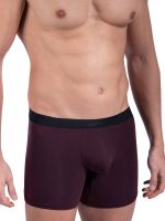Olaf Benz RED2305: Boxerpant, burgundy