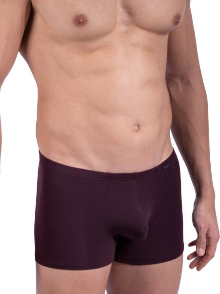 Olaf Benz RED2305: Minipant, burgundy