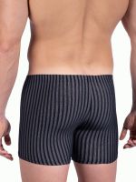 Olaf Benz RED2311: Boxerpant, rail